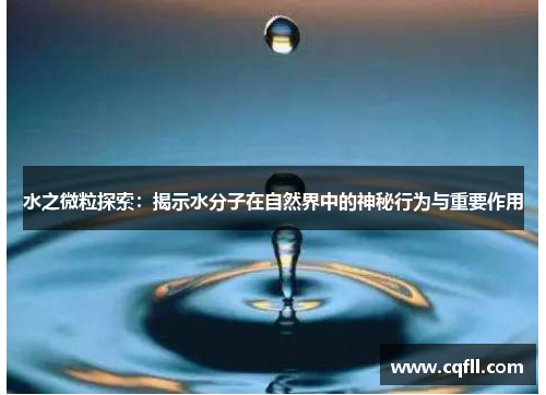 水之微粒探索：揭示水分子在自然界中的神秘行为与重要作用