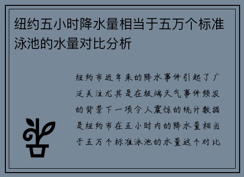 纽约五小时降水量相当于五万个标准泳池的水量对比分析