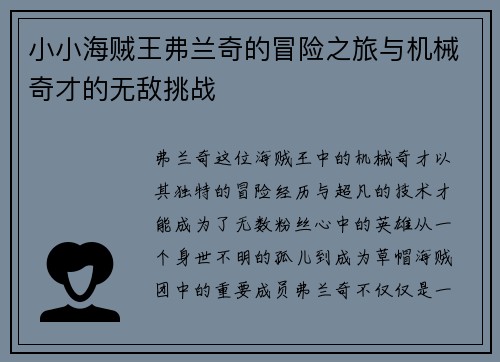 小小海贼王弗兰奇的冒险之旅与机械奇才的无敌挑战